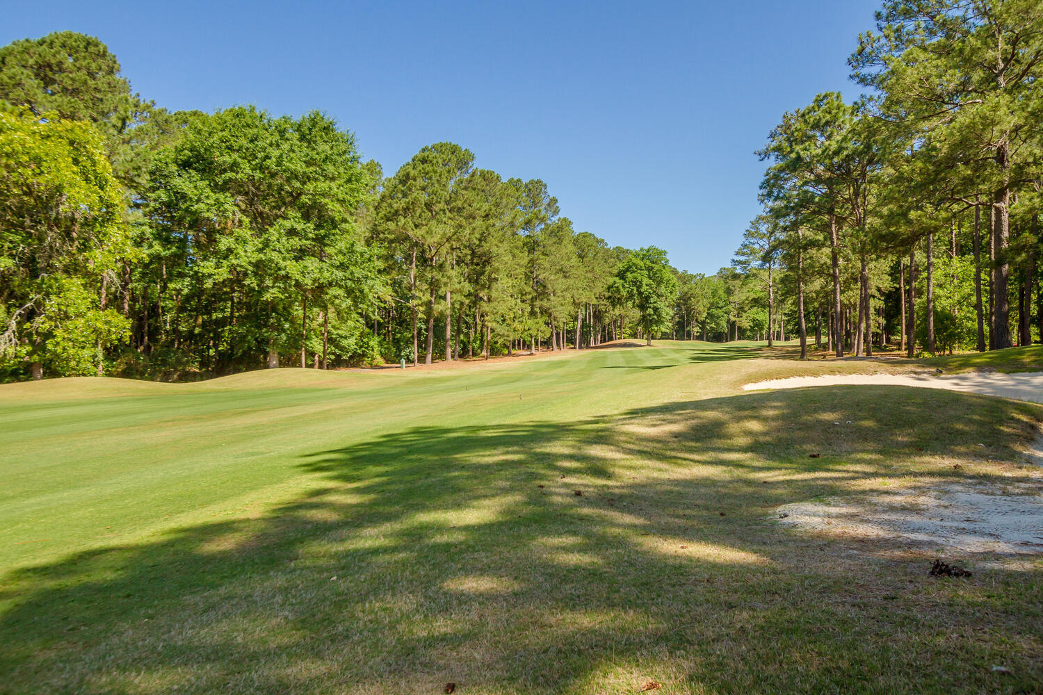 120 Yellow Pine Road Aiken, SC 29803 - Photo 38 of 47 Gallery Image 38