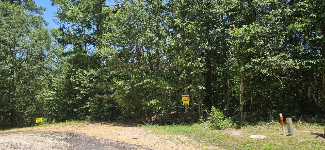 0 Blanks Bend Road Coldspring, TX 77331 - Photo 3 of 7 a view of outdoor space and trees