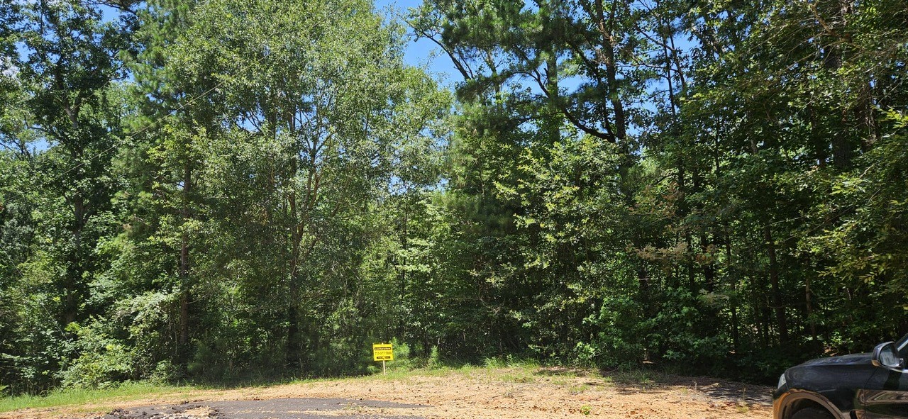 0 Blanks Bend Road Coldspring, TX 77331 - Photo 4 of 7 a view of a yard