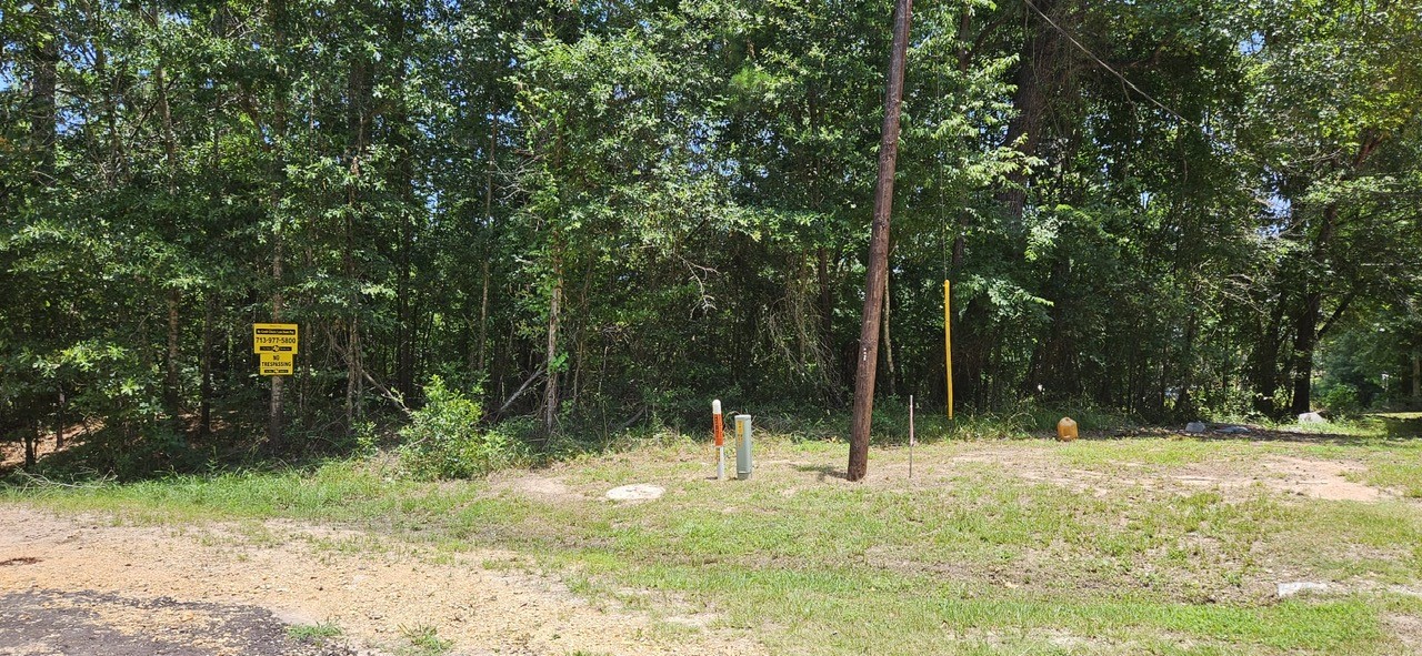 0 Blanks Bend Road Coldspring, TX 77331 - Photo 5 of 7 a backyard of a house with lots of green space