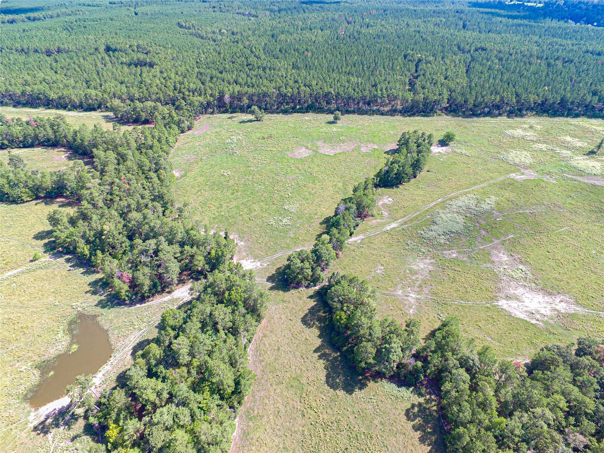 20720 Highway 59 Corrigan, TX 75939 - Photo 14 of 50 a view of a lake with a yard