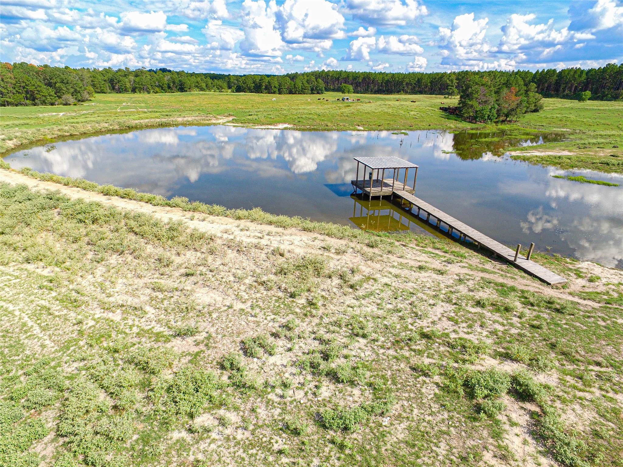 20720 Highway 59 Corrigan, TX 75939 - Photo 21 of 50 a view of a lake and a yard
