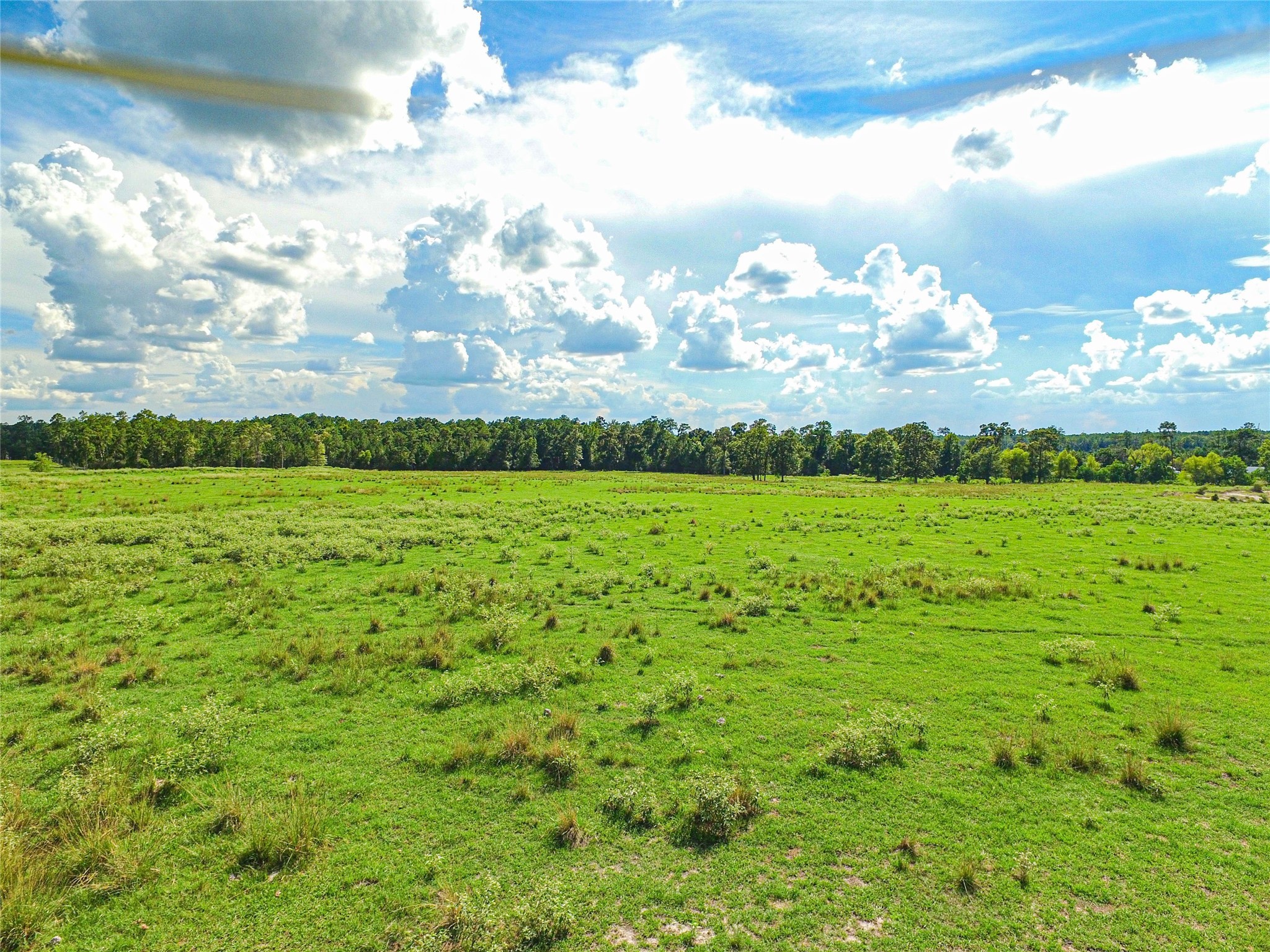 20720 Highway 59 Corrigan, TX 75939 - Photo 26 of 50 a view of a big yard with lots of green space