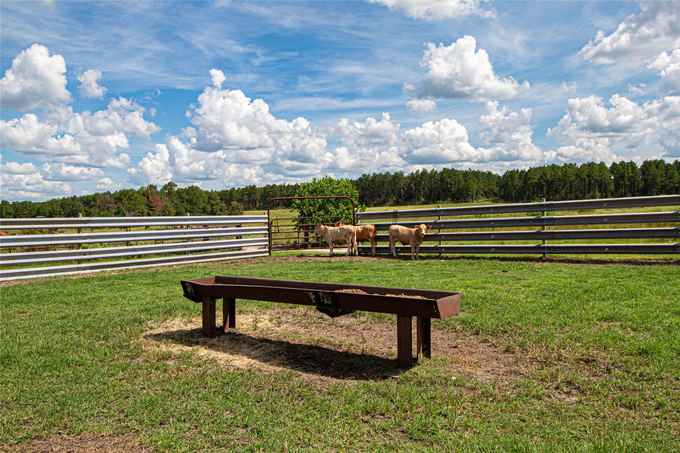 20720 Highway 59 Corrigan, TX 75939 - Photo 33 of 50 a view of a bench in the garden
