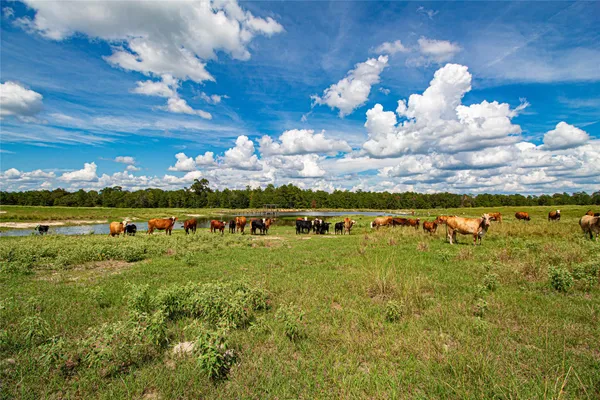 $2,499,000 | 20720 Highway 59, Corrigan, TX 75939