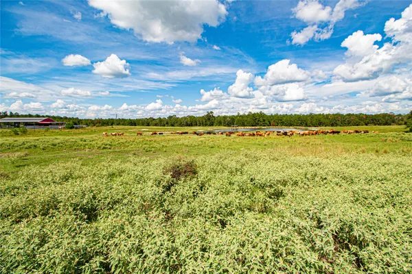 $2,499,000 | 20720 Highway 59, Corrigan, TX 75939