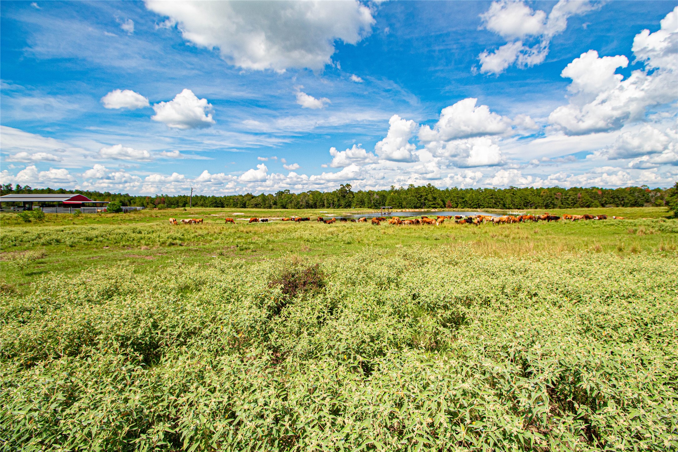 20720 Highway 59 Corrigan, TX 75939 - Photo 39 of 50 a view of a lake with a houses