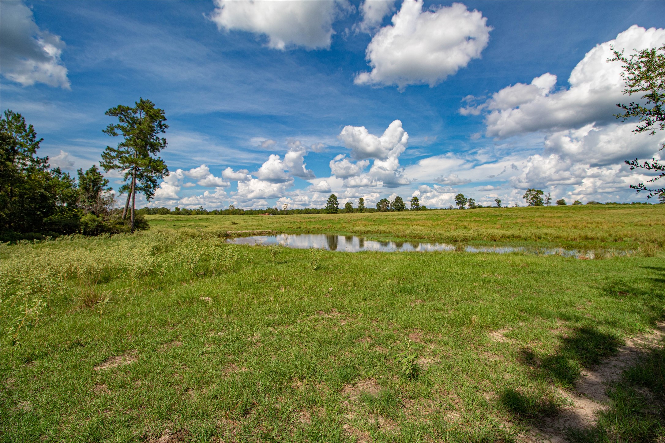 20720 Highway 59 Corrigan, TX 75939 - Photo 41 of 50 a view of a golf course with a lake