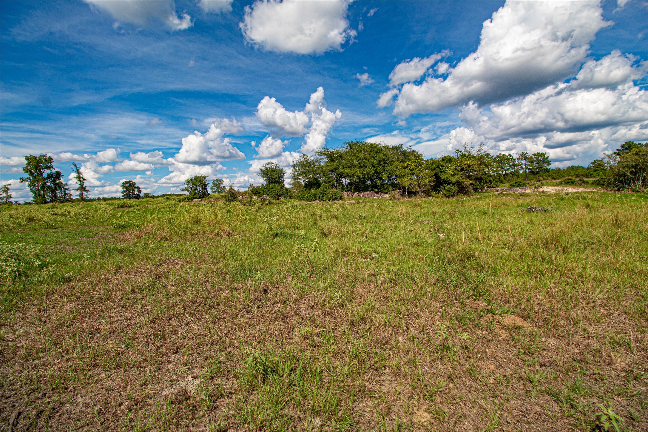 20720 Highway 59 Corrigan, TX 75939 - Photo 42 of 50