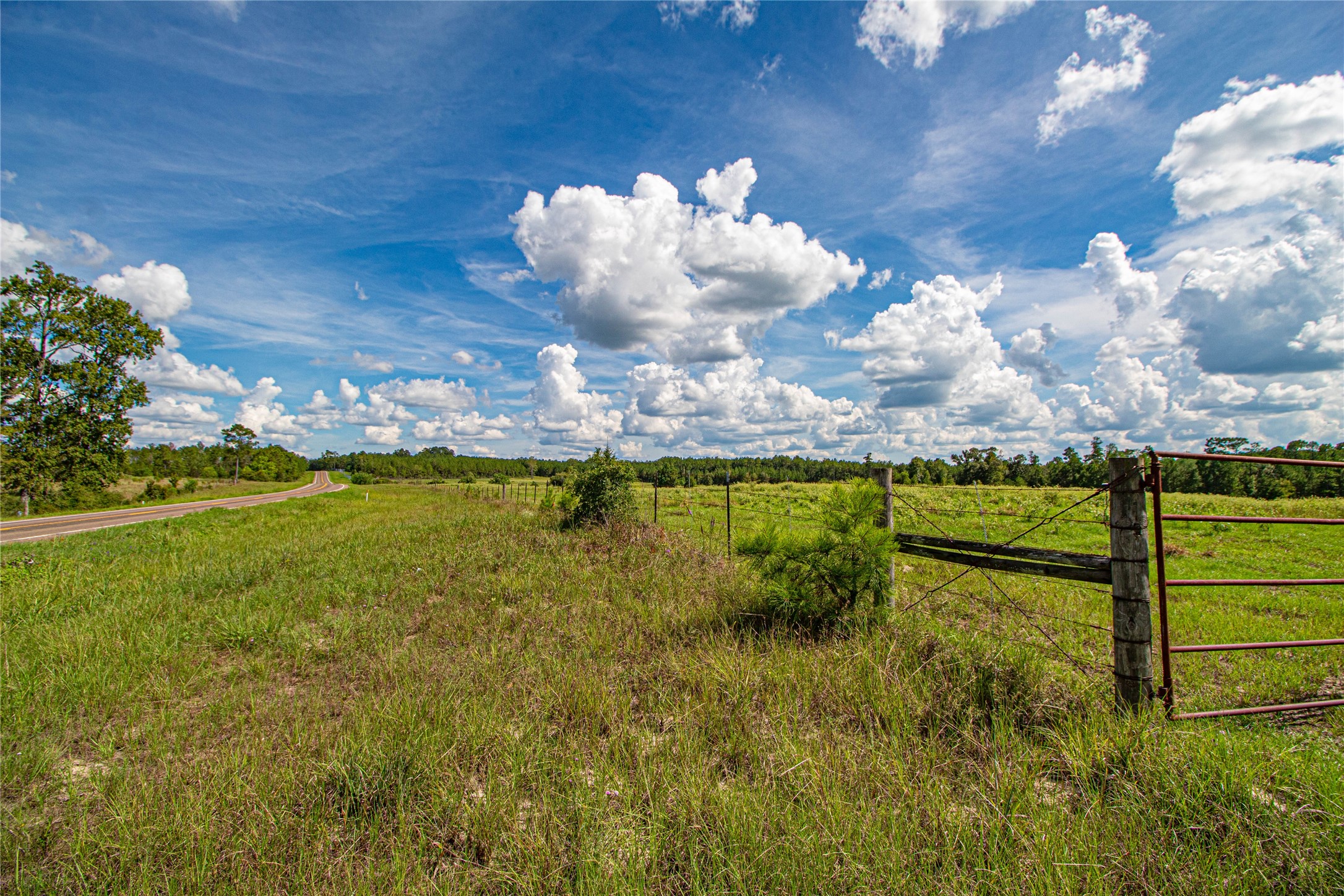 20720 Highway 59 Corrigan, TX 75939 - Photo 44 of 50 a view of a lake from a yard