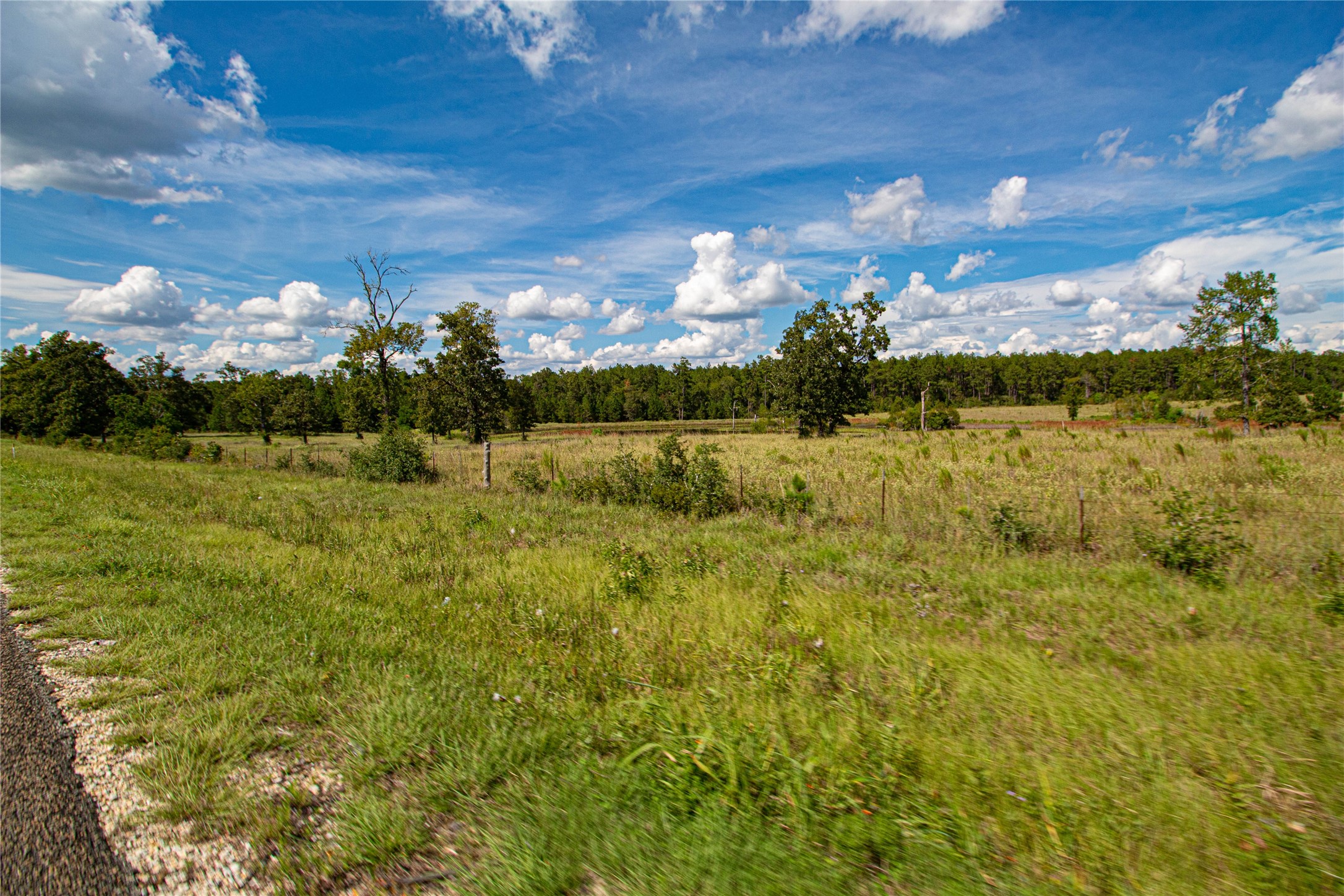 20720 Highway 59 Corrigan, TX 75939 - Photo 45 of 50 a view of an outdoor space and a yard