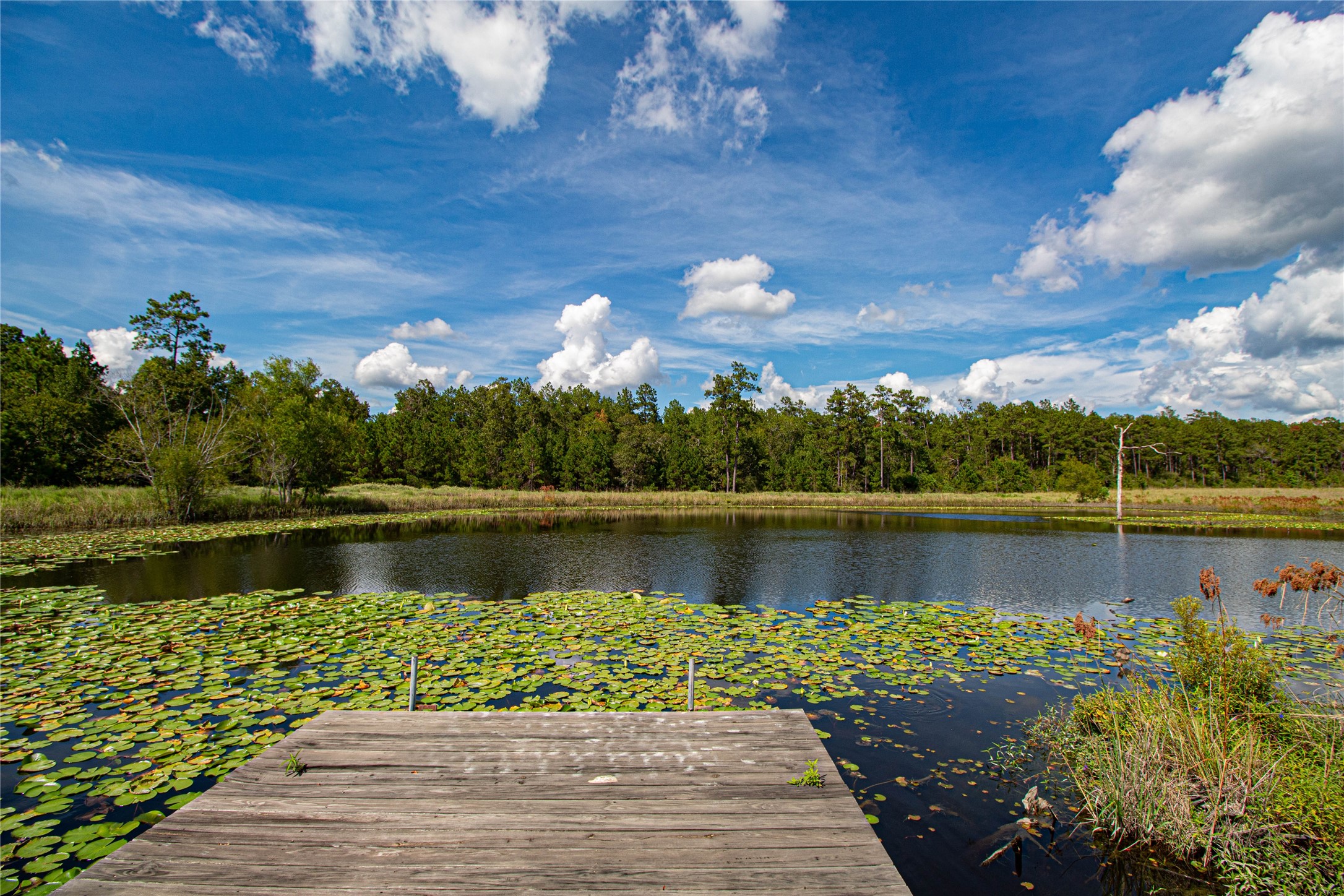 20720 Highway 59 Corrigan, TX 75939 - Photo 46 of 50