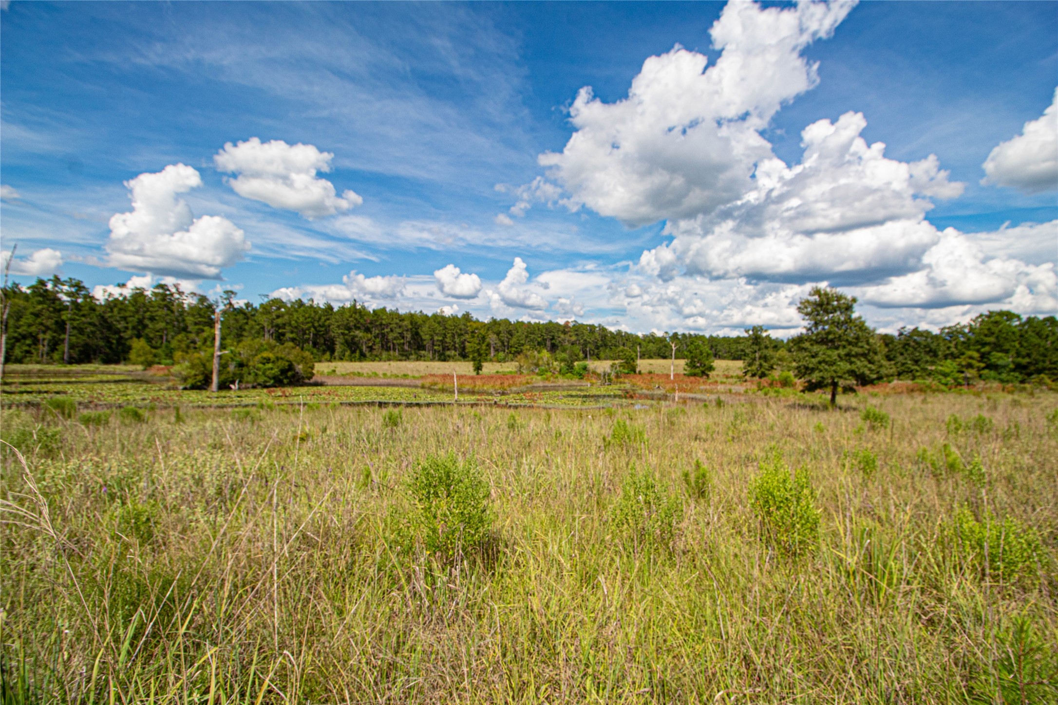 20720 Highway 59 Corrigan, TX 75939 - Photo 48 of 50 a view of a lake view