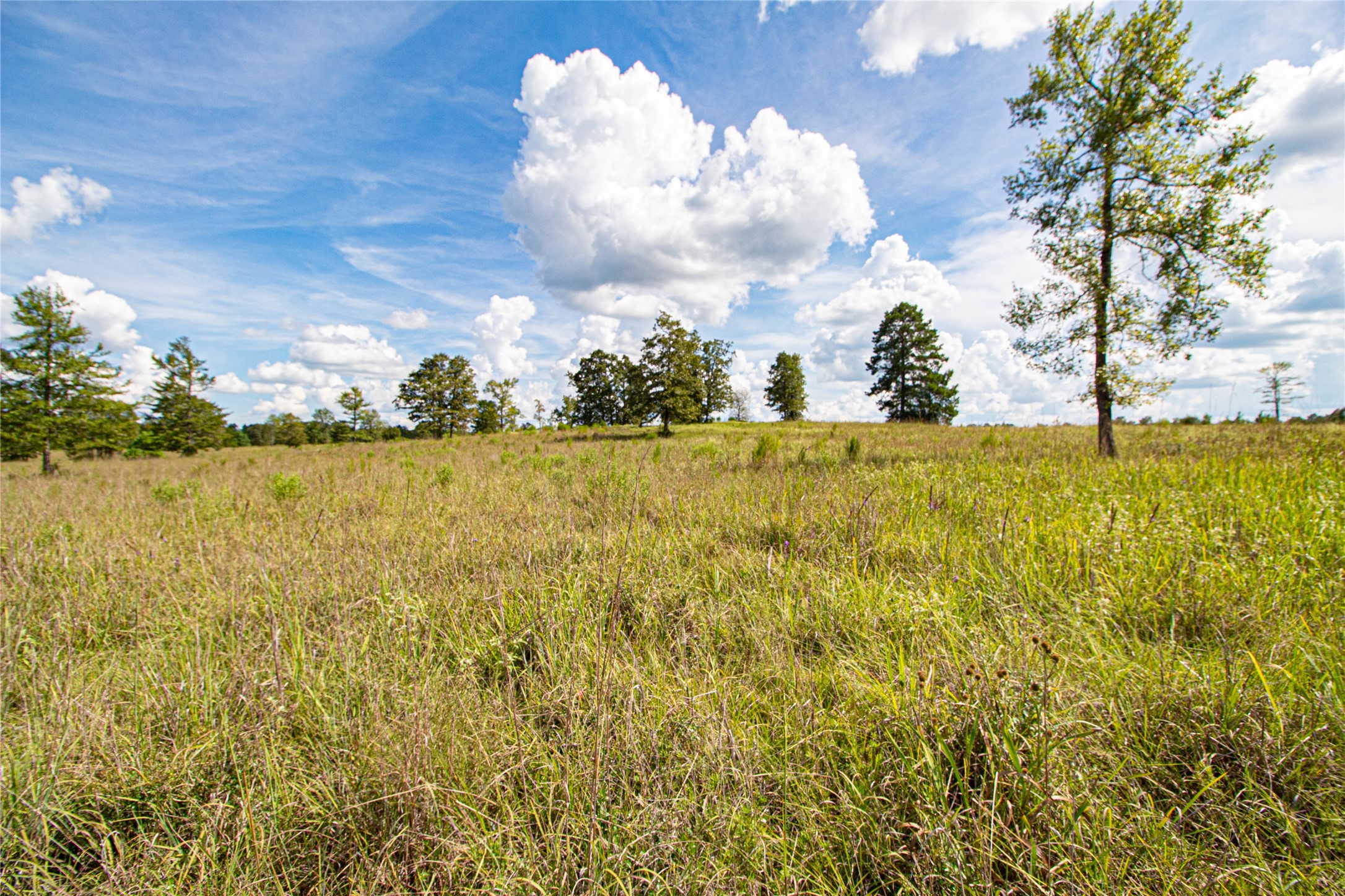 20720 Highway 59 Corrigan, TX 75939 - Photo 49 of 50 a view of ocean