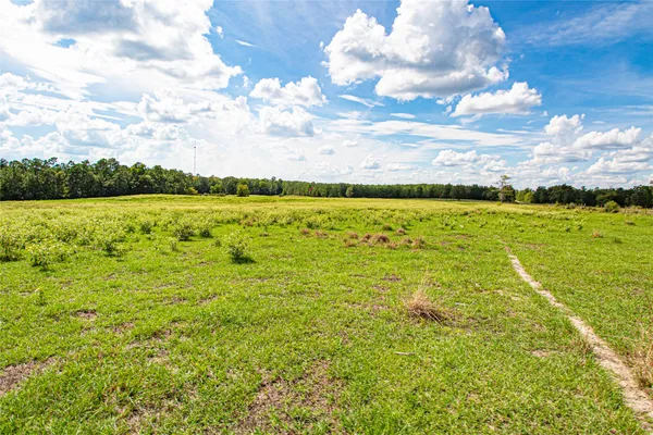 $2,499,000 | 20720 Highway 59, Corrigan, TX 75939