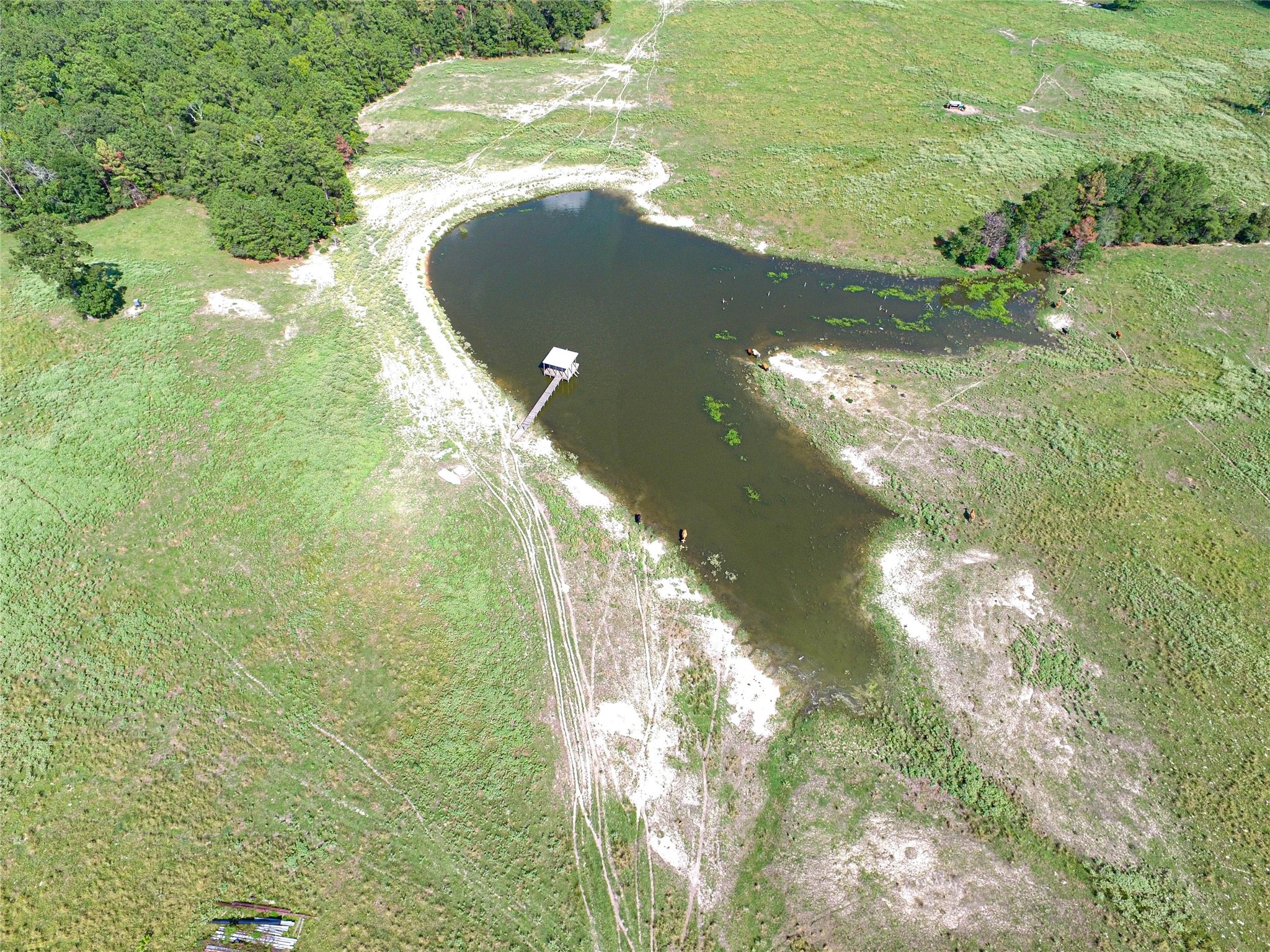 20720 Highway 59 Corrigan, TX 75939 - Photo 5 of 50 a view of yard from a balcony