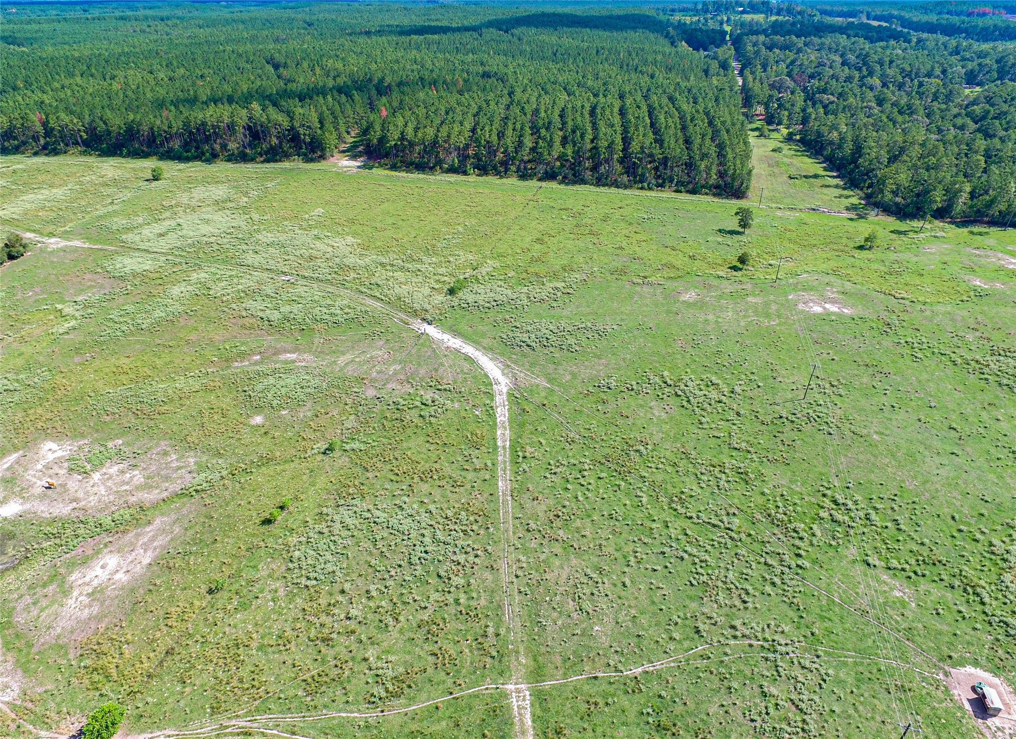 20720 Highway 59 Corrigan, TX 75939 - Photo 7 of 50 a view of yard with grass