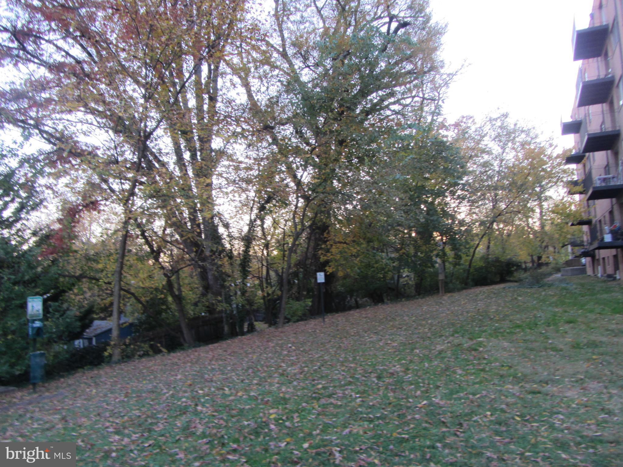 614 Sligo Avenue, Unit 303 Silver Spring, MD 20910 - Photo 7 of 31 a view of a forest with trees in the background