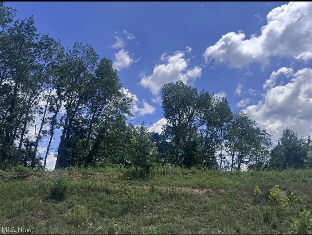 Lookout Road Stockport, OH 43787 - Photo 18 of 27
