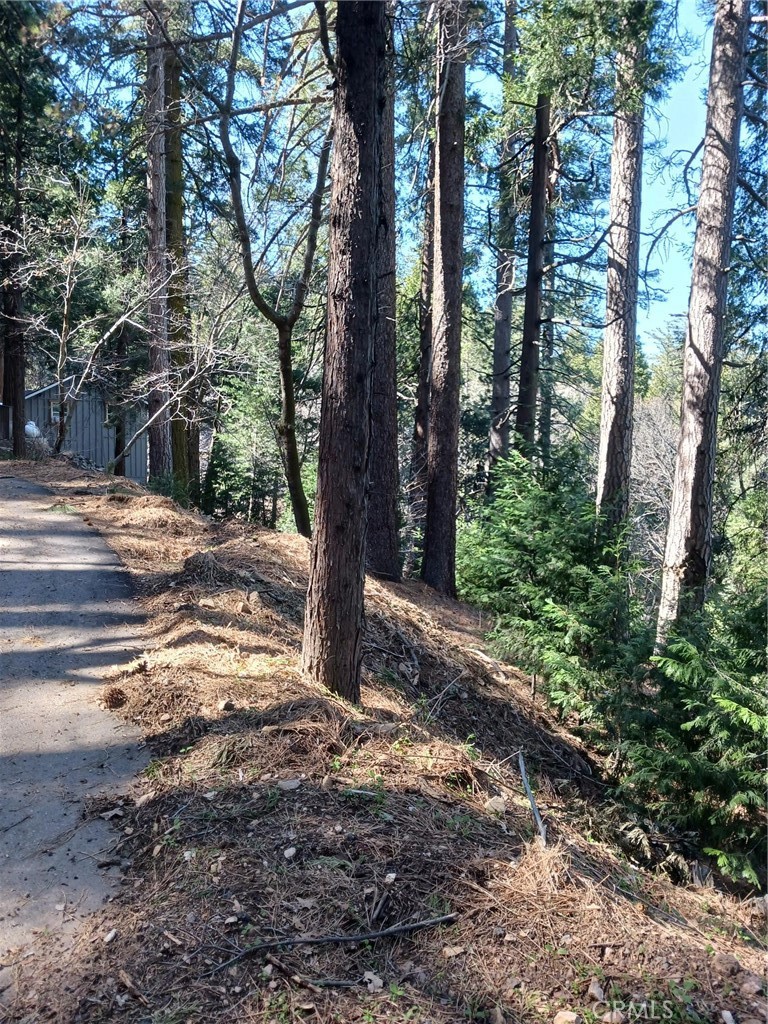 35 Spring Drive Cedarpines Park, CA 92322 - Photo 2 of 3