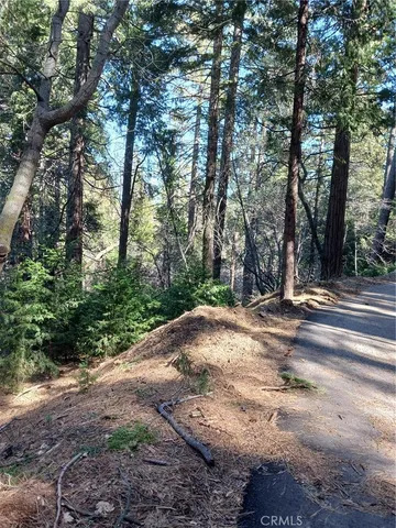 a view of path space with trees