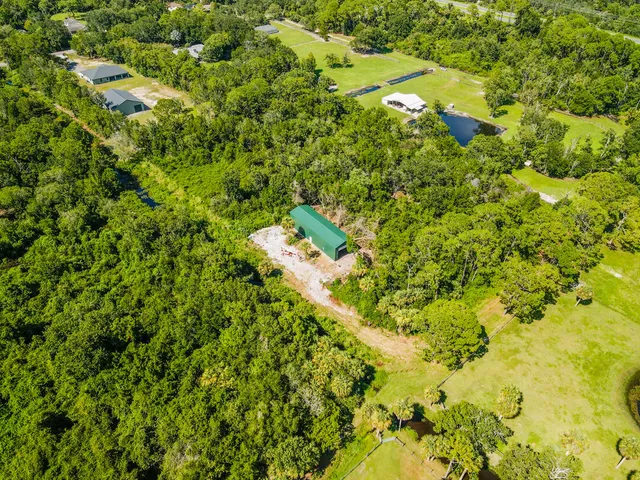a view of a big yard with lots of bushes