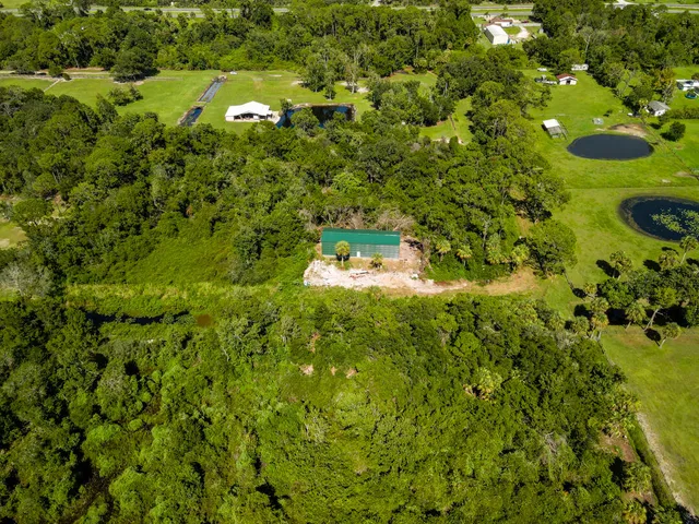 a view of a large garden with lots of plants