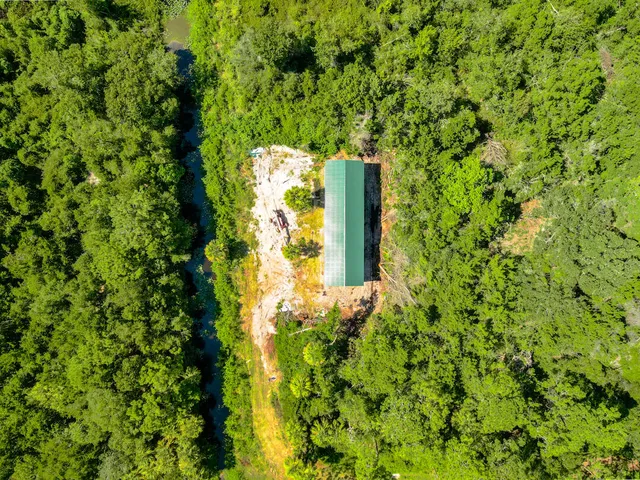 a view of a yard with plants and tree