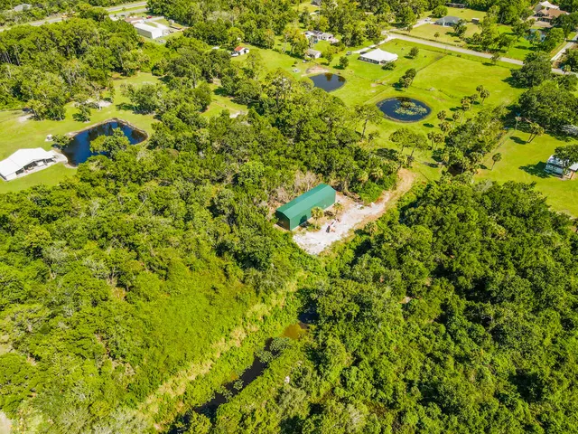 a view of a yard with plants