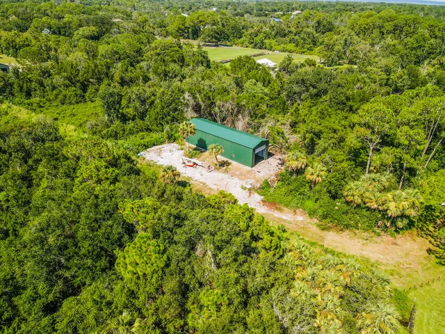a green field with flowers in the background