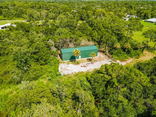 a view of a backyard with plants and large trees