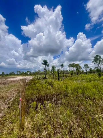 a view of a wooden wall