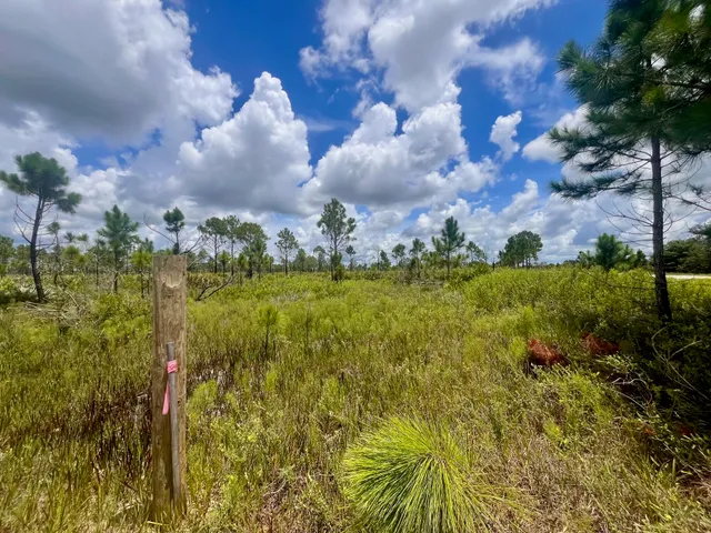 a view of a big room with a lake