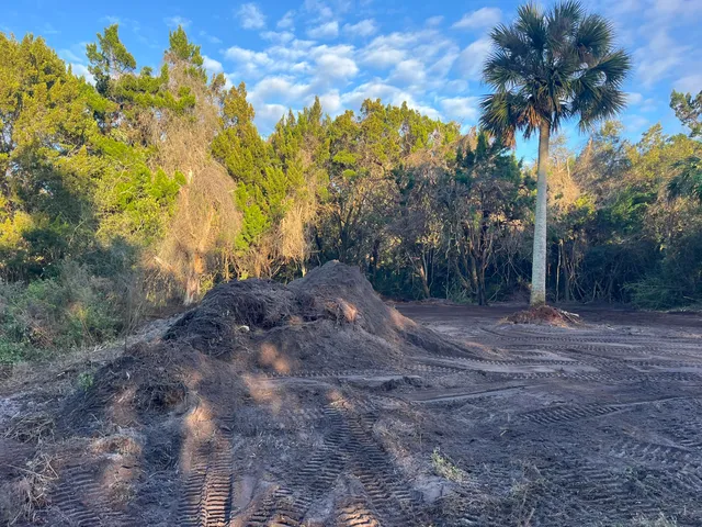 a view of outdoor space with trees