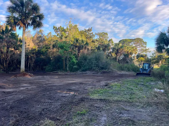 a view of a yard with palm tree