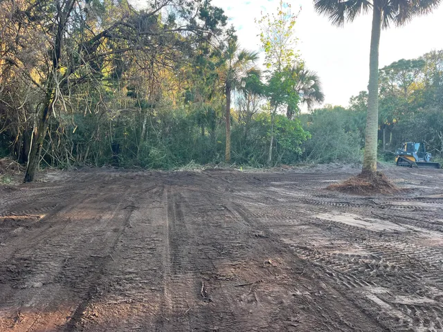 a view of dirt yard with a trees