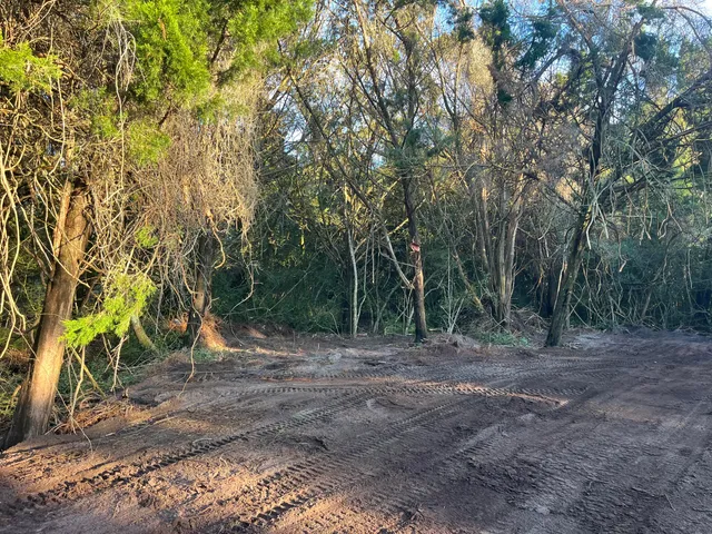 a view of outdoor space with trees