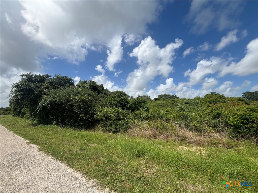 Tbd Harbor Road Seadrift, TX 77983 - Photo 10 of 16
