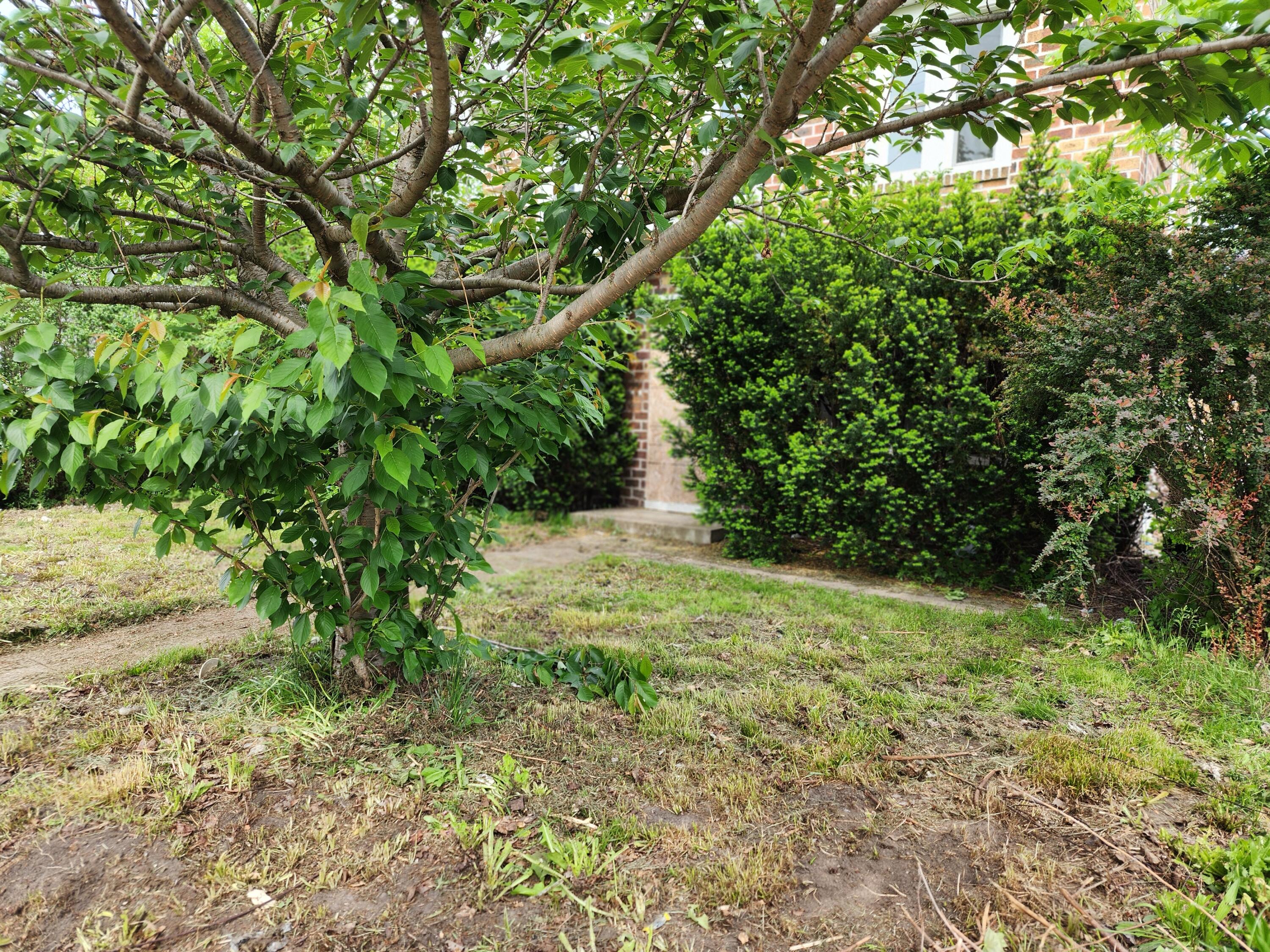 907 Russell Street Kalamazoo, MI 49001 - Photo 7 of 16 20250519_160128