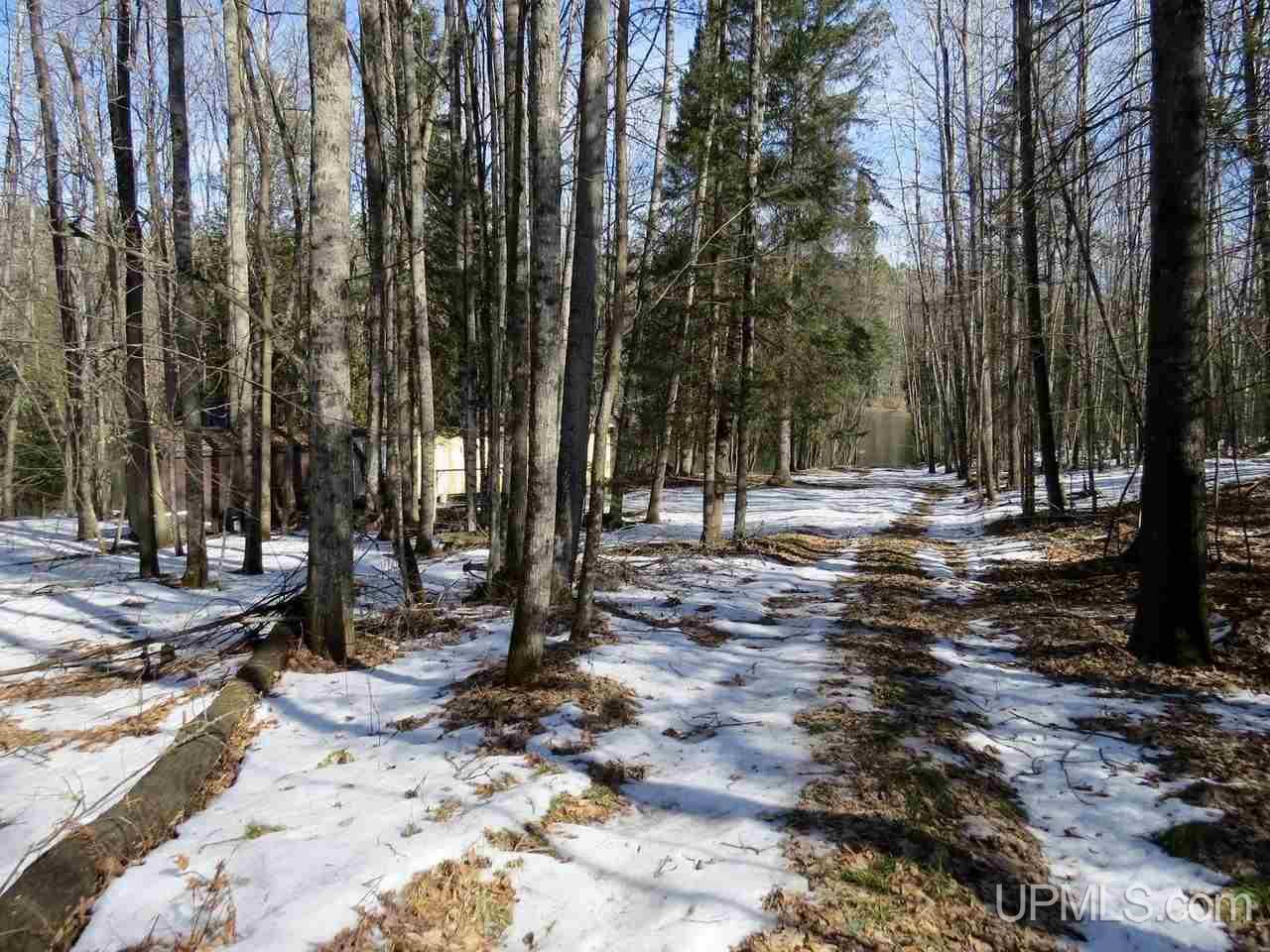 5199 Wellever Road Niagara, WI 54151 - Photo 27 of 33