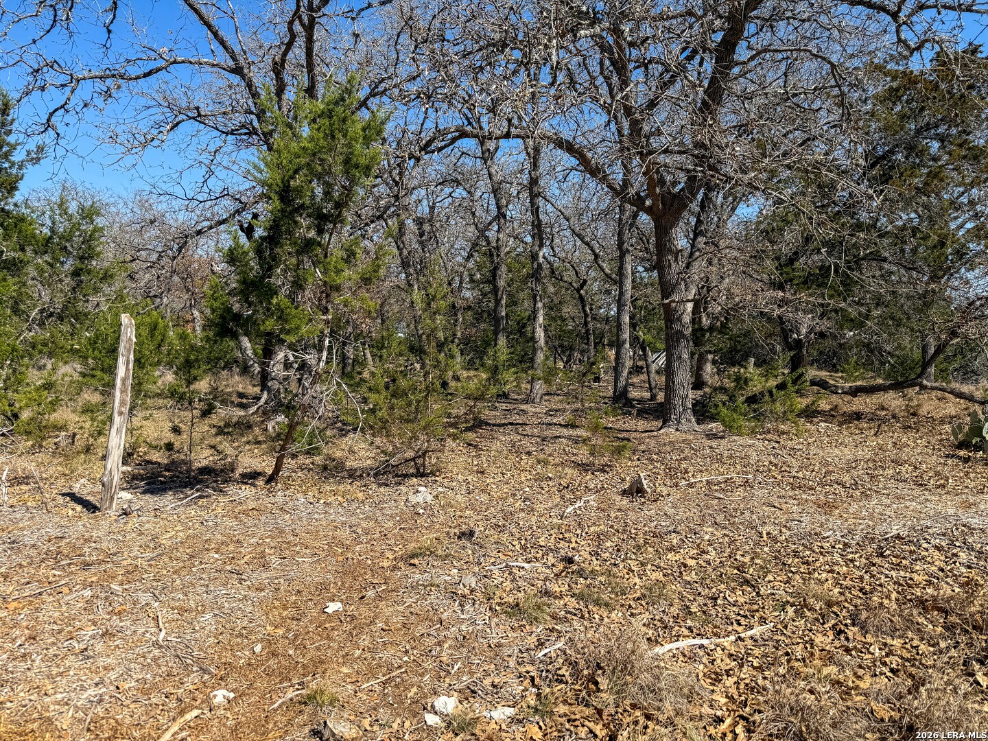 0 Park Bandera, TX 78003 - Photo 14 of 22