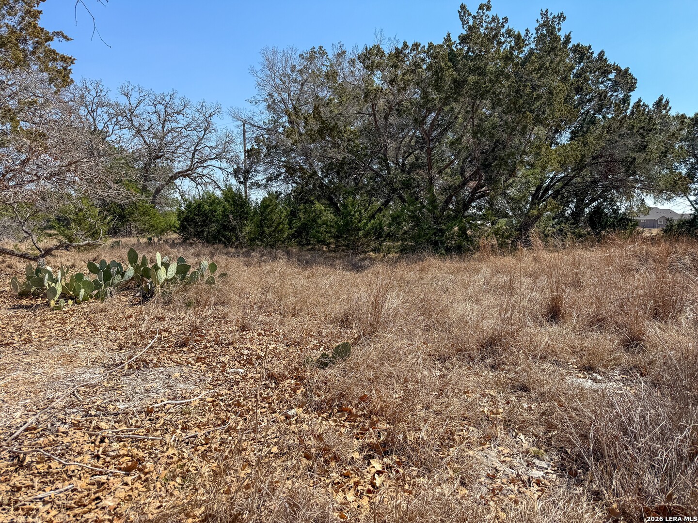 0 Park Bandera, TX 78003 - Photo 15 of 22