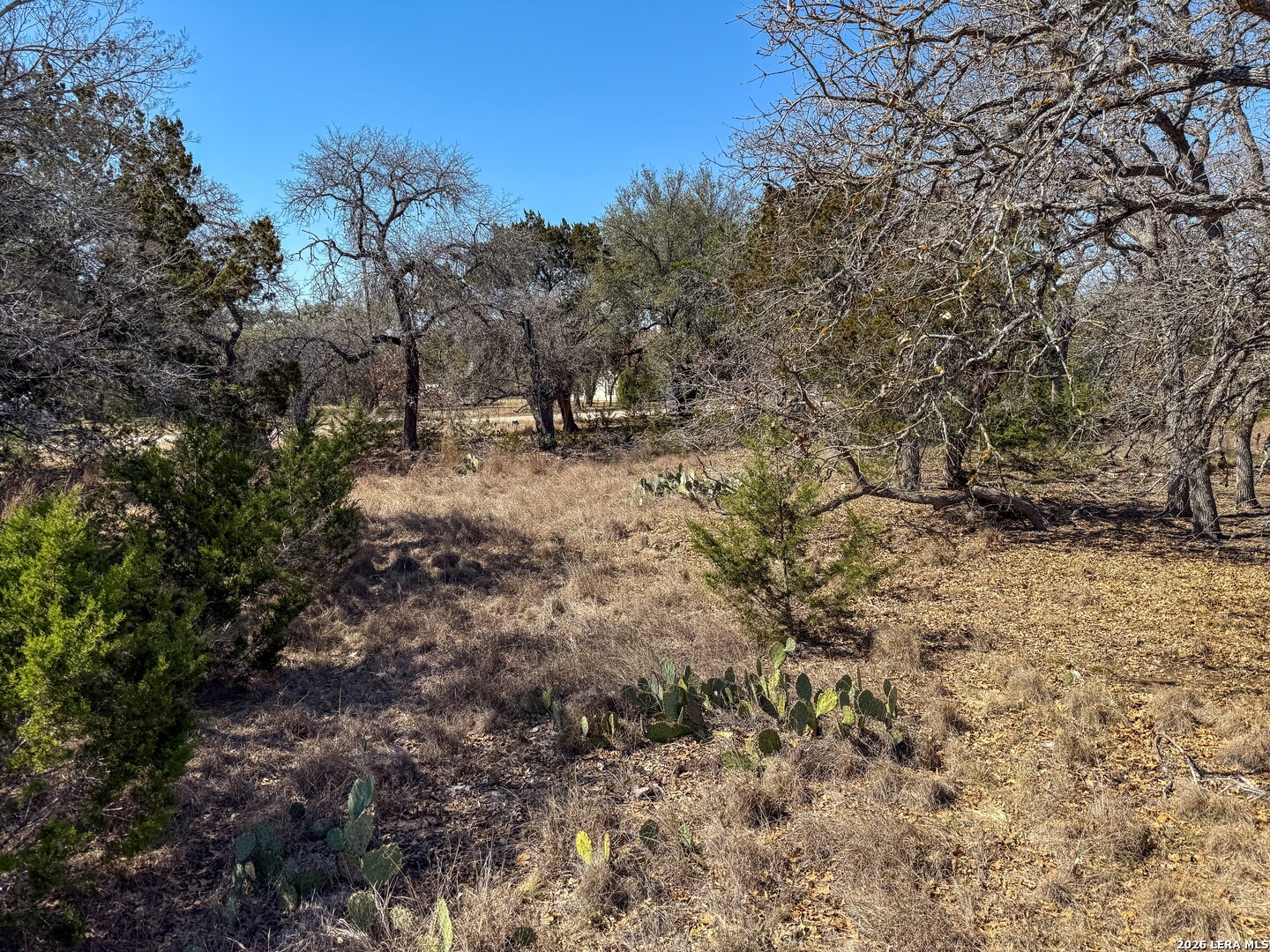 0 Park Bandera, TX 78003 - Photo 17 of 22