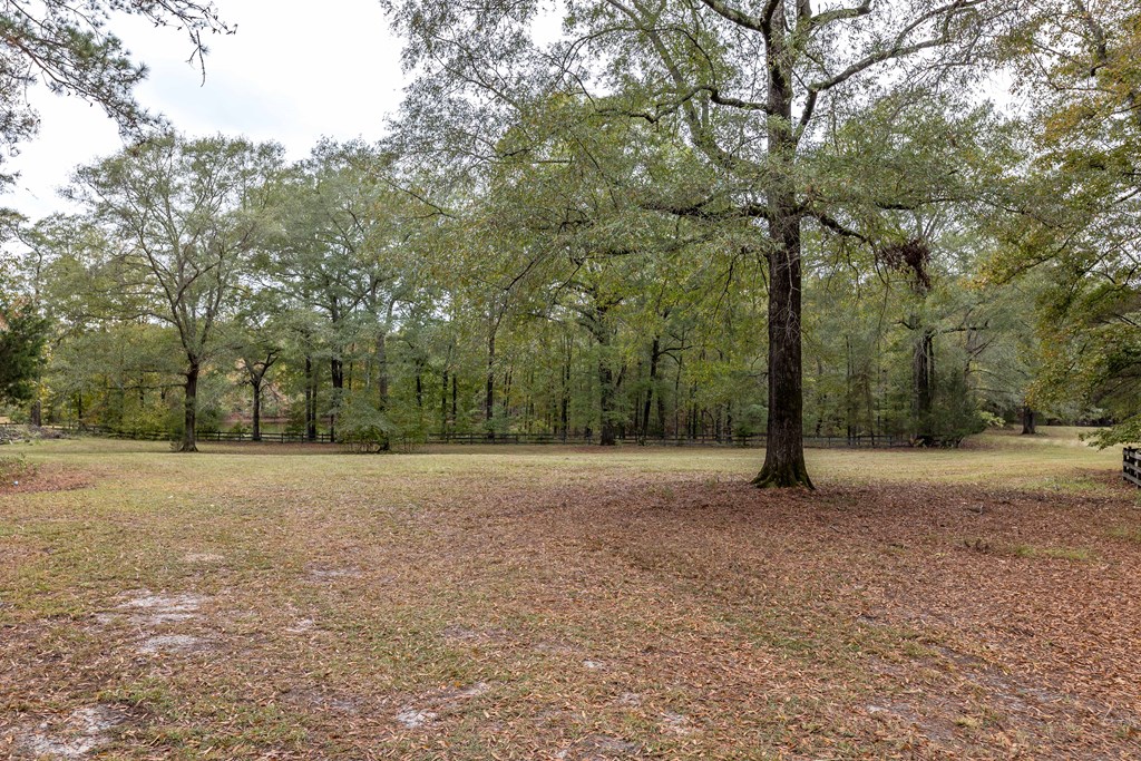 7901 Shallowford Road Upatoi, GA 31829 - Photo 77 of 89 Gallery Image 77