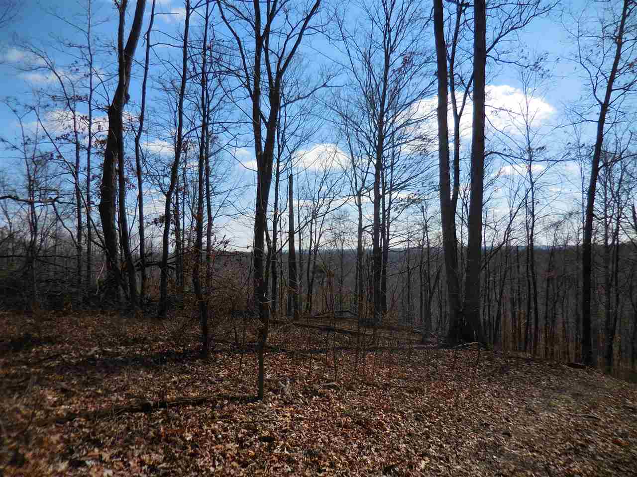 0 Windom Road Shoals, IN 47581 - Photo 11 of 12