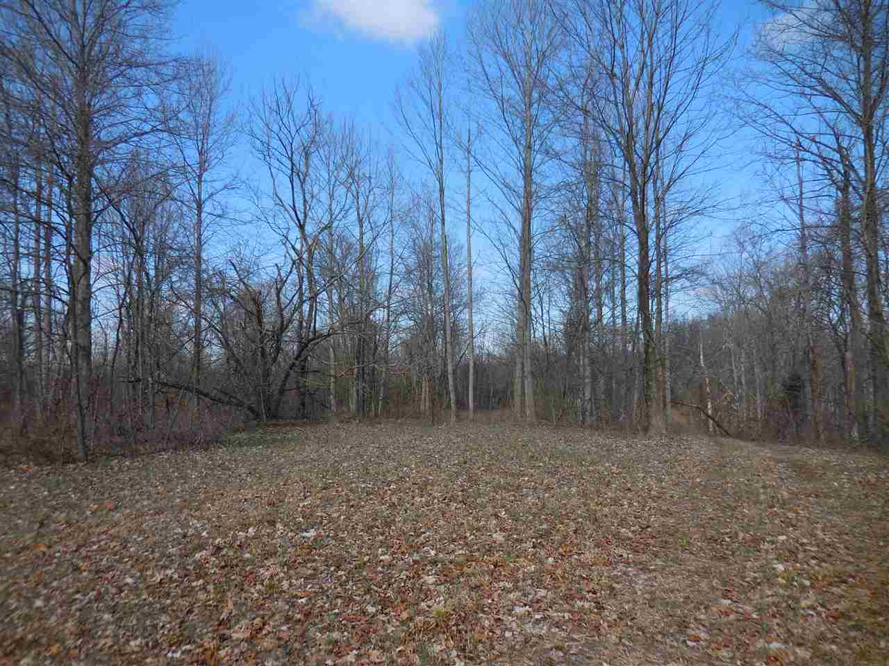 0 Windom Road Shoals, IN 47581 - Photo 12 of 12
