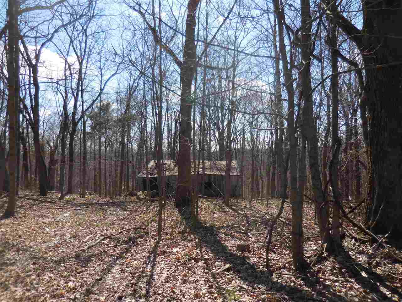 0 Windom Road Shoals, IN 47581 - Photo 3 of 12