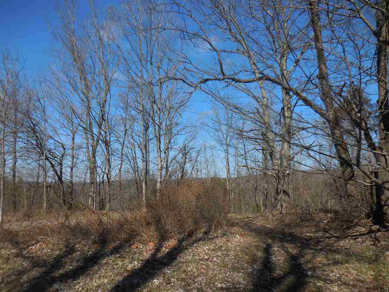 0 Windom Road Shoals, IN 47581 - Photo 6 of 12