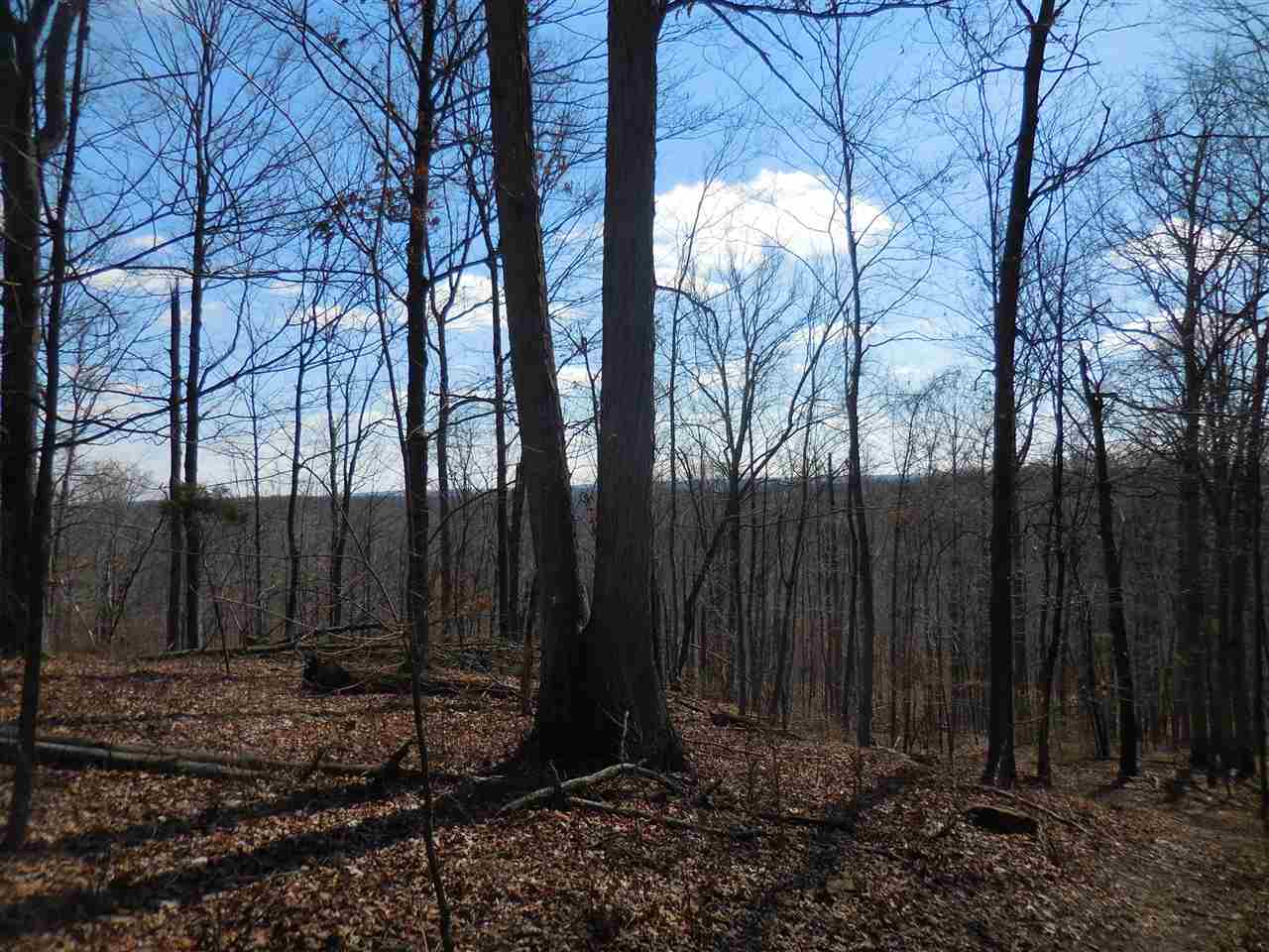 0 Windom Road Shoals, IN 47581 - Photo 7 of 12
