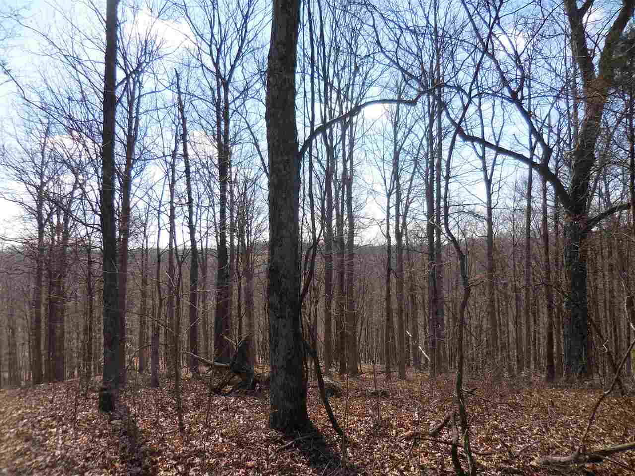 0 Windom Road Shoals, IN 47581 - Photo 8 of 12
